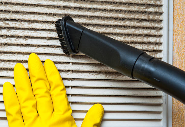 Best Dryer Vent Cleaning in Seyur, MO